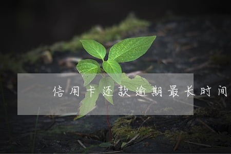 信用卡还款逾期最长时间 信用卡还款逾期最长时间