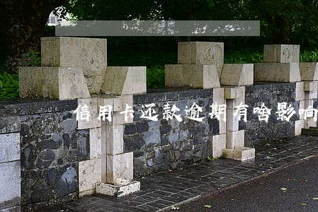 信用卡还款逾期有啥影响呢 信用卡还款逾期有啥影响呢
