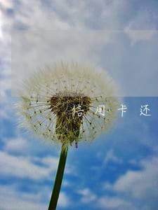信用卡还款逾期法律后果是什么 信用卡还款逾期法律后果是什么