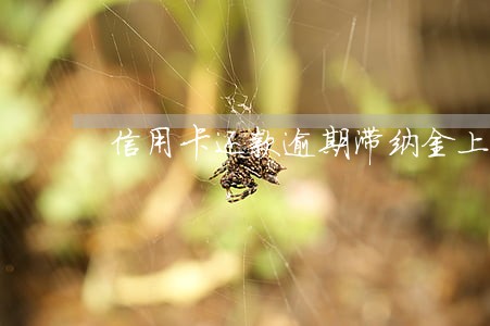 信用卡还款逾期滞纳金上海