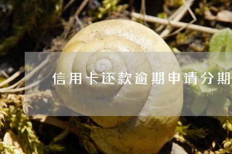 信用卡还款逾期申请分期