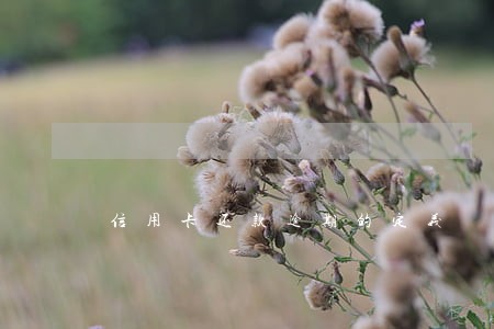 信用卡还款逾期的定义 信用卡还款逾期的定义