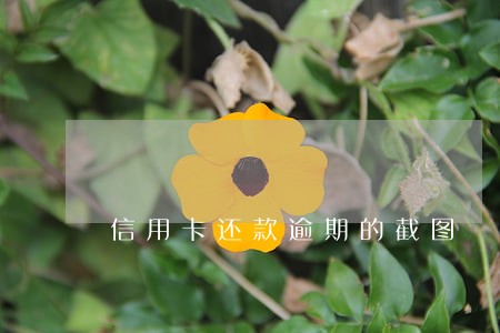 信用卡还款逾期的截图 信用卡还款逾期的截图