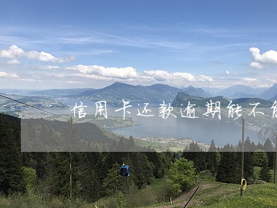 信用卡还款逾期能不能申请延期