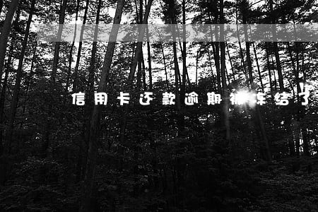 信用卡还款逾期被冻结了怎么办 信用卡还款逾期被冻结了怎么办