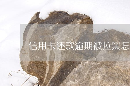 信用卡还款逾期被拉黑怎么办 信用卡还款逾期被拉黑怎么办