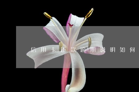 信用卡还款逾期说明如何写
