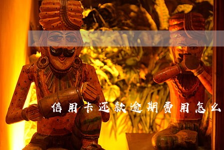 信用卡还款逾期费用怎么算的 信用卡还款逾期费用怎么算的