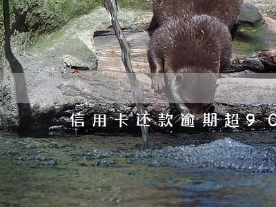 信用卡还款逾期超90天 信用卡还款逾期超90天