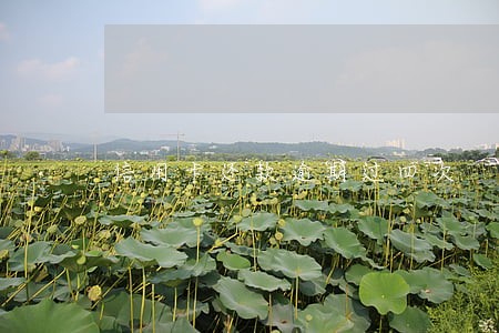 信用卡还款逾期过四次 信用卡还款逾期过四次