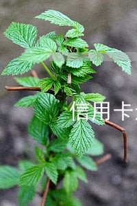 信用卡还款逾期还不上会怎么样 信用卡还款逾期还不上会怎么样