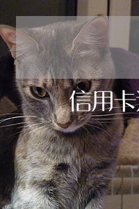 信用卡还款逾期还款罚金