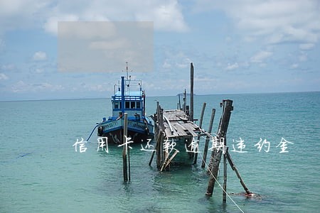 信用卡还款逾期违约金