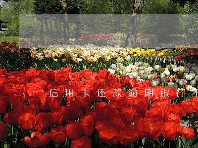 信用卡还款逾期银行不收费 信用卡还款逾期银行不收费