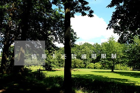信用卡还款逾期限制