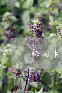 信用卡还款逾期需要交费吗 信用卡还款逾期需要交费吗