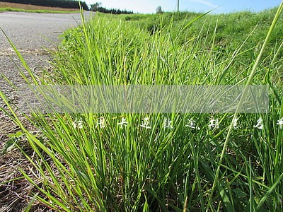 信用卡还款逾期黑名单 信用卡还款逾期黑名单