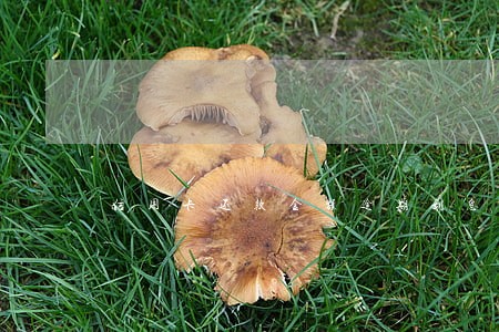信用卡还款金额逾期利息怎么算 信用卡还款金额逾期利息怎么算