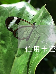 信用卡还款顺序会逾期吗 信用卡还款顺序会逾期吗