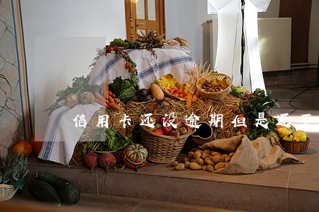 信用卡还没逾期但是还不上怎么办 信用卡还没逾期但是还不上怎么办