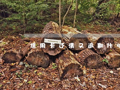 信用卡还清又逾期什么算逾期 信用卡还清又逾期什么算逾期