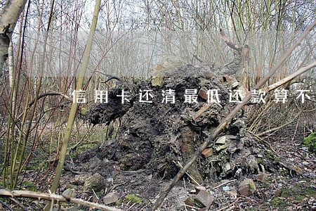 信用卡还清最低还款算不算逾期
