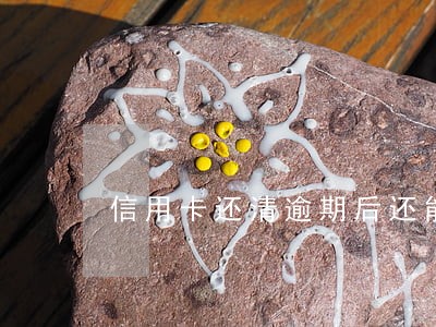 信用卡还清逾期后还能用吗 信用卡还清逾期后还能用吗