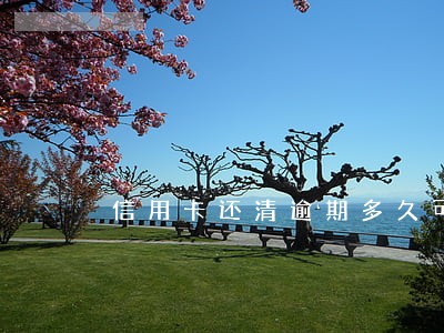信用卡还清逾期多久可以再用 信用卡还清逾期多久可以再用