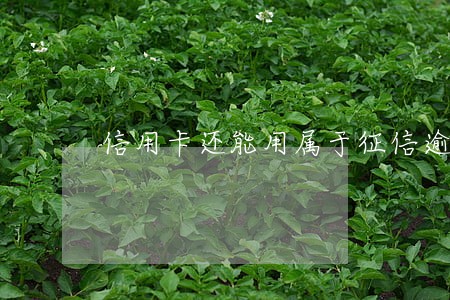 信用卡还能用属于征信逾期吗 信用卡还能用属于征信逾期吗