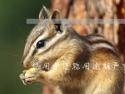 信用卡还能用逾期严重吗 信用卡还能用逾期严重吗
