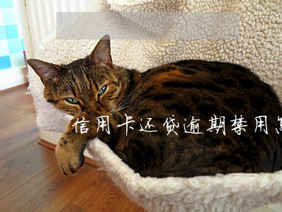 信用卡还贷逾期禁用怎么办