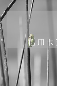 信用卡还迟几个小时算逾期吗 信用卡还迟几个小时算逾期吗