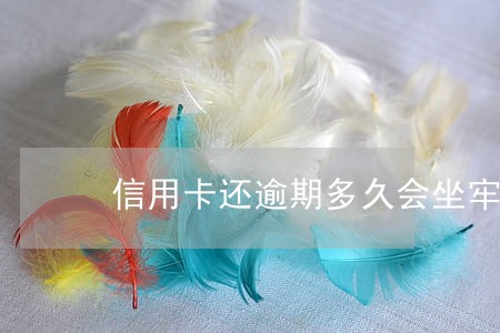 信用卡还逾期多久会坐牢吗 信用卡还逾期多久会坐牢吗
