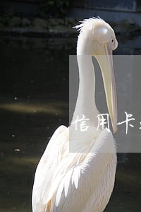 信用卡还逾期还没还完