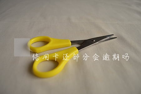 信用卡还部分会逾期吗 信用卡还部分会逾期吗