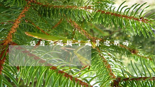信用卡还钱了还算逾期吗 信用卡还钱了还算逾期吗