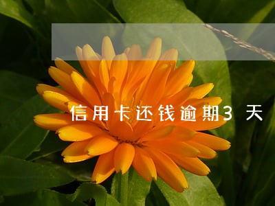 信用卡还钱逾期3天