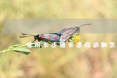 信用卡还错卡造成逾期怎么办 信用卡还错卡造成逾期怎么办