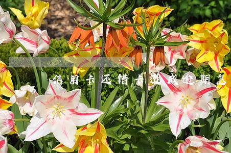 信用卡还错卡造成逾期怎么申请 信用卡还错卡造成逾期怎么申请