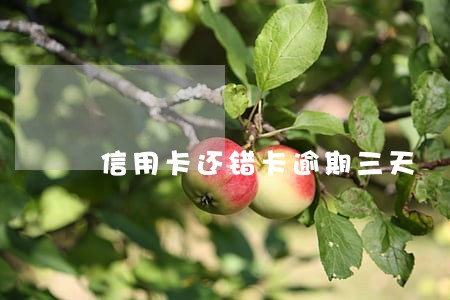 信用卡还错卡逾期三天 信用卡还错卡逾期三天