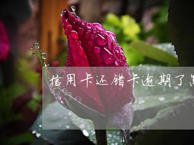 信用卡还错卡逾期了怎么办