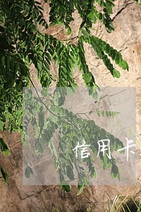 信用卡还错导致逾期
