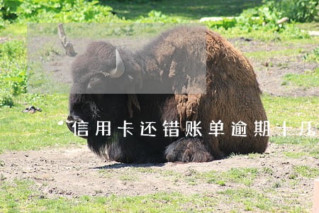 信用卡还错账单逾期十几块钱 信用卡还错账单逾期十几块钱