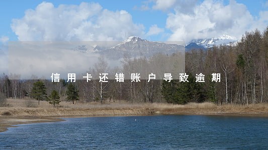 信用卡还错账户导致逾期 信用卡还错账户导致逾期