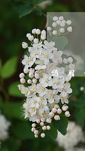 信用卡还错银行导致逾期 信用卡还错银行导致逾期