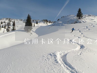 信用卡这个月不还会不会逾期 信用卡这个月不还会不会逾期