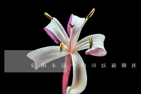 信用卡这个月可以逾期还吗