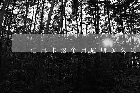 信用卡这个月逾期多久能刷新