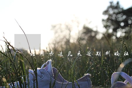 信用卡这几天逾期影响征信不 信用卡这几天逾期影响征信不