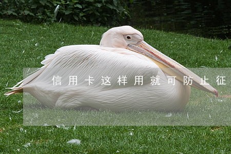 信用卡这样用就可防止征信逾期 信用卡这样用就可防止征信逾期